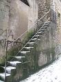 Neve (57)